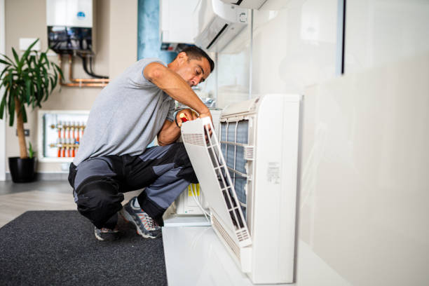 Best Air Duct Mold Removal  in Ddleville, MI