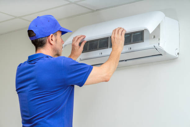 Best Local Air Duct Cleaning Services  in Ddleville, MI