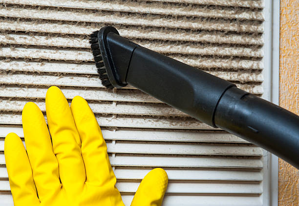 Best Professional Duct Cleaning Services  in Ddleville, MI